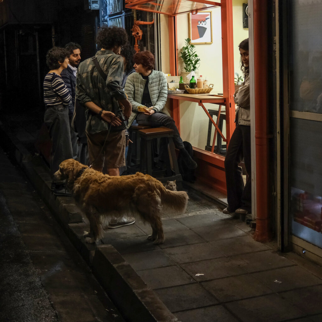 Iran Cracks Down on One Luxury Left to Its Youth: Coffee Shops
